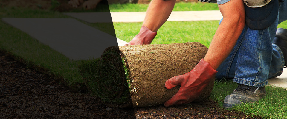 Grand Rapids Landscapers